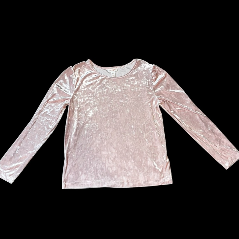 Cat & Jack Pink Velvet Kids Long Sleeve Top NWT